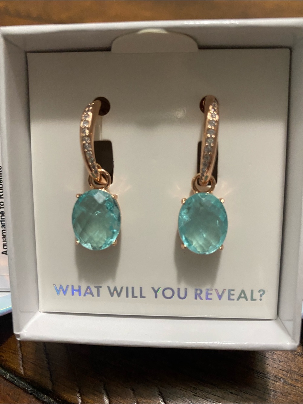 Bomb Party Mental Health Earrings - Aquamarine to Rubellite - Rose Gold Plating